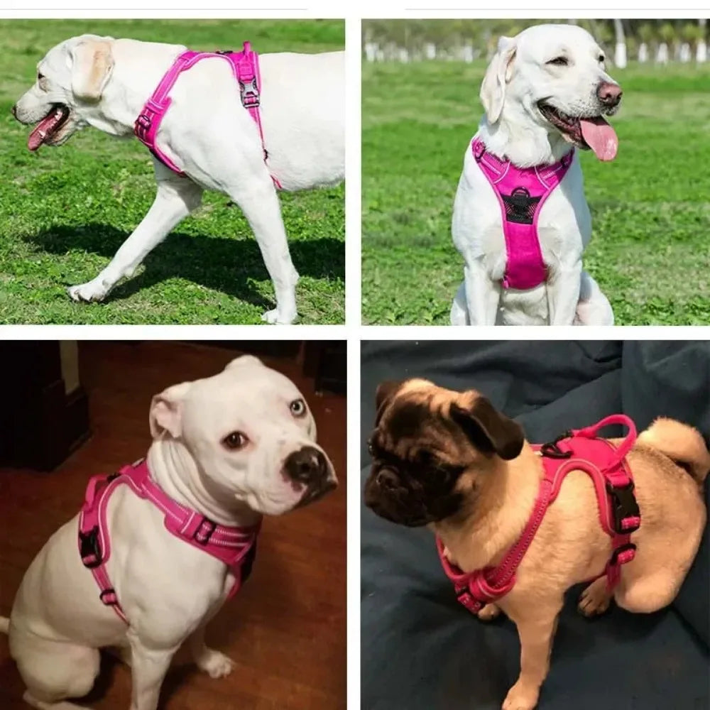 Reflective Adjustable Pet Harness Vest with Breathable Chest Strap for Small, Medium, and Large Dogs and Cats